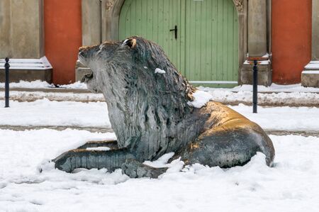 Lying lion monument with snow in the old town of Gdansk in Poland.の写真素材