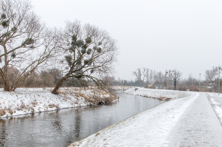 Radunia river in winter time in Pruszcz Gdanski.の写真素材