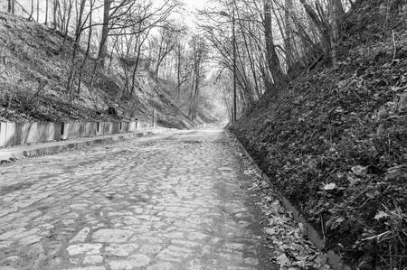 Paved with setts in the black and white in Kazimierz Dolny, Poland.の写真素材