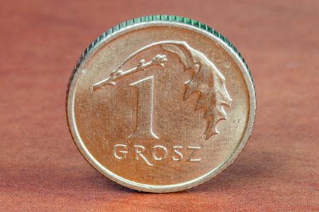 Polish coin 1 grosz.の写真素材