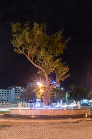 Aqaba, Jordan - February 7, 2019: Tree at Great Arab Revolt Circle at night.のeditorial素材