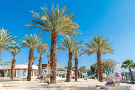 Eilat, Israel - February 9, 2019: Palms and fish sculptures in Gan Binyamin Central Park.のeditorial素材