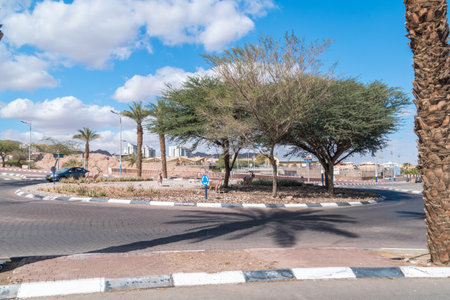 Eilat, Israel - February 9, 2019: Roundabout with trees and animal sculptures.のeditorial素材