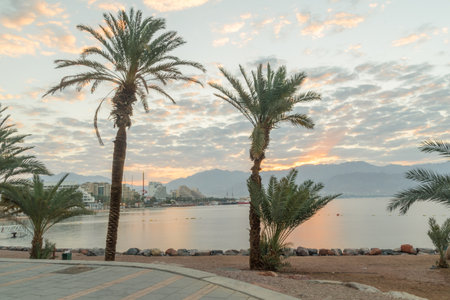 Eilat, Israel - February 10, 2019: Sunrise with palm trees in Eilat resort.のeditorial素材