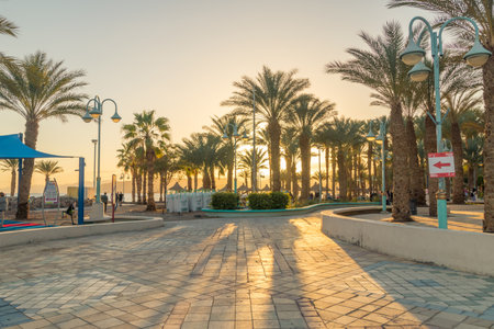 Eilat, Israel - February 9, 2019: Palm gardens at Central promenade at sunset time.
