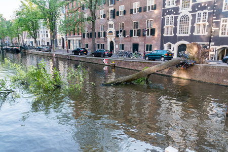Amsterdam, Netherlands - June 6, 2019: Fallen tree to the canal in the old town.のeditorial素材