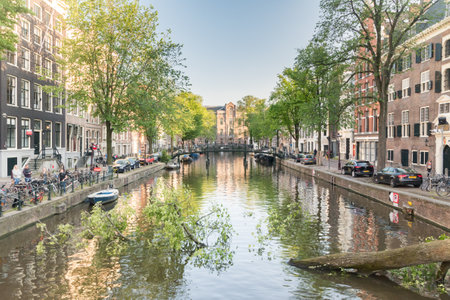 Amsterdam, Netherlands - June 6, 2019: View canals with fallen tree.のeditorial素材
