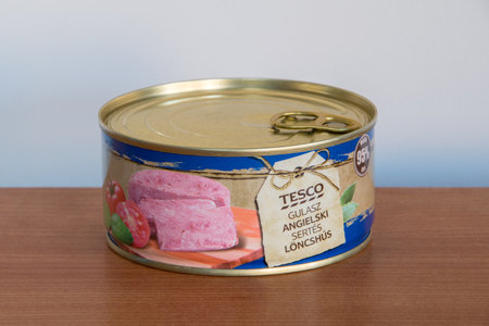 Pruszcz Gdanski, Poland - July 5, 2019: Can of Tesco English Goulash (Polish: Gulasz Angielski).のeditorial素材