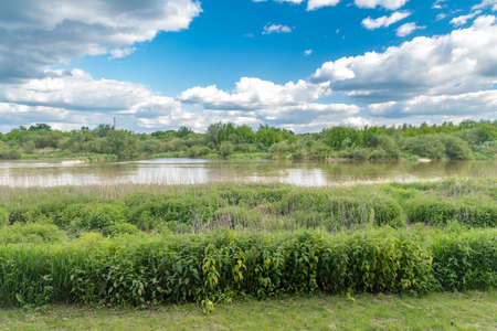 Beautiful landscape view in summer time on Bug river.