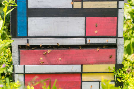 Entrance to colorful wooden beehive.の写真素材
