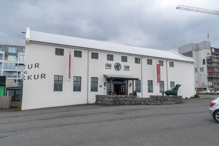 Reykjavik, Iceland - June 20, 2020: Saga Museum depicting the Viking history of Iceland.のeditorial素材