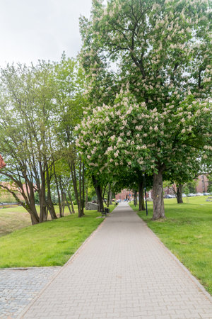 Lubin, Poland - June 1, 2021: Park in city center of Lubin.のeditorial素材