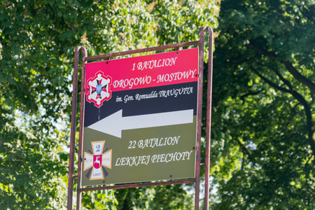 Deblin, Poland - June 13, 2021: 1st Road-Bridge Battalion and 22nd Light Infantry Battalion (1st Road-Bridge Battalion and 22nd Light Infantry Battalion).のeditorial素材