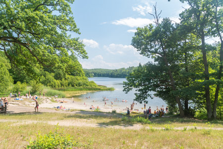 Otomin, Poland - July 7, 2021: Otominskie lake surrounded by trees at summer.のeditorial素材