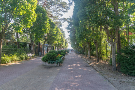 Jurata, Poland - July 20, 2021: Main promenade in Jurata at summer time. Jurata is a popular Polish seaside resort.のeditorial素材