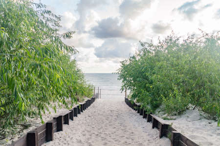 The entrance to the beach of the Baltic Sea on Hel peninsula.の写真素材