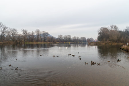 Elbe river in Czech Republic at cloudy day.の写真素材