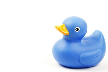 one blue rubber duck on white backgroundの写真素材