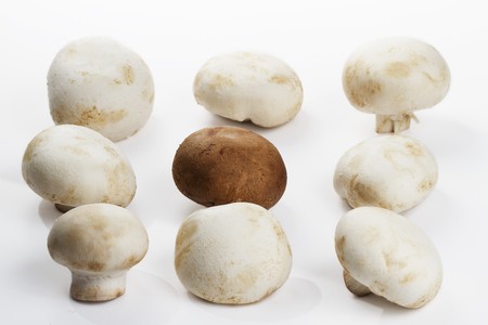 one brown mushroom surrounded by eight mushrooms の写真素材