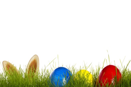three easter eggs in grass with ears from a easter bunny in background on whiteの写真素材