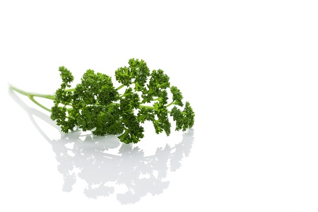 french curly parsley on white backgroundの写真素材