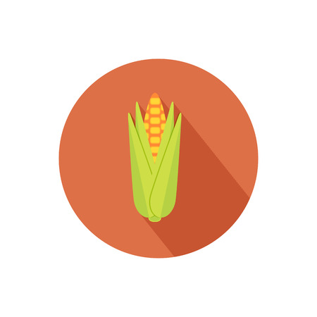 Corn icon with shadow in flat designのイラスト素材