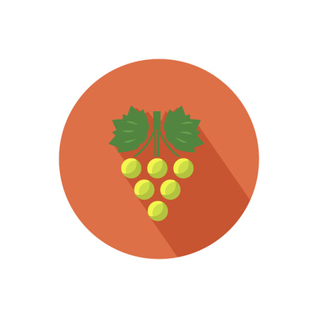 Grapes icon with shadow in flat designのイラスト素材
