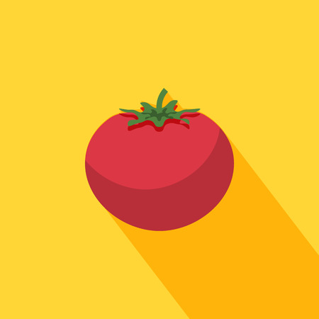 Tomato icon with shadow in flat designのイラスト素材