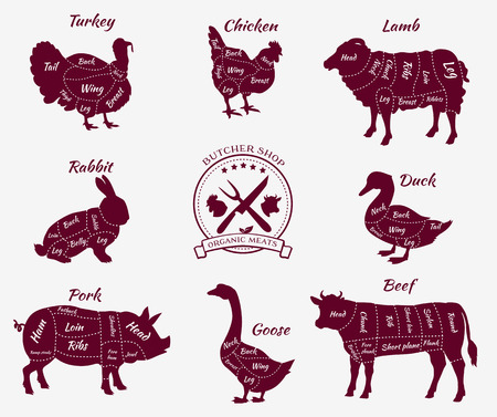Set a schematic view of animals for butcher shop. Cow and pork, cattle and pig, chicken and lamb, beef and rabbit, duck and swine, goose and turkey, meat illustrationのイラスト素材