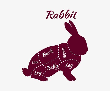 Vintage diagram guide for rabbit cutting. Vintage typographic rabbit butcher cuts diagram. Rabbit cuts diagram for butcher shop. Quarter of raw rabbit. Organic rabbit meat parts. Vector illustrationのイラスト素材