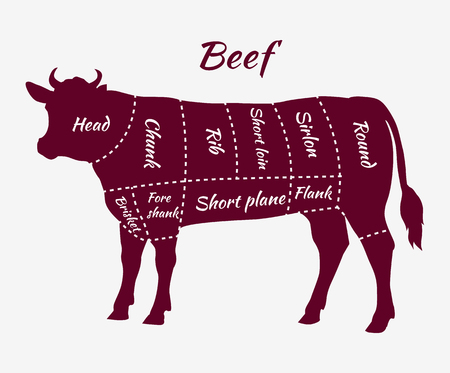 American cuts of beef. Scheme of beef cuts for steak and roast. Butcher cuts scheme. Beef cuts diagram in vintage style. Meat cutting beef. Menu template grilling steaks and cow. Vector illustrationのイラスト素材