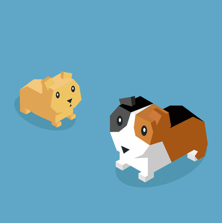 Pets guinea pig icon isometric 3d.のイラスト素材
