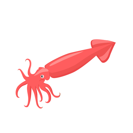 Squid of red color design flat.  Red squid with tentacles isolated on white background. Creature floating in water. Inhabitant wildlife of underwater world. Edible sea food. Vector illustrationのイラスト素材