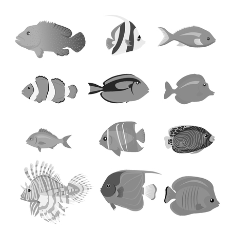Set of sea fish color design flat. Ocean fish animal, nature cartoon wildlife aquarium, underwater life sea fish, exotic drawing marine fauna sea fish vector illustrationのイラスト素材
