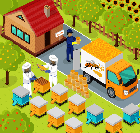 Isometric honey bee apiary with beekeeper design flat. 3D Beekeeping work, sweet honey, farm natural honey, 3d beekeeper collect eco honey, bee fly for honey on apiary, beemaster job, collect honeyのイラスト素材