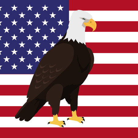 Bald eagle vector. USA national bird symbol and flag for patriotic national symbolic, patriotic posters, elections illustrating. Big eagle witn white fead on American flag background. 4 julyのイラスト素材