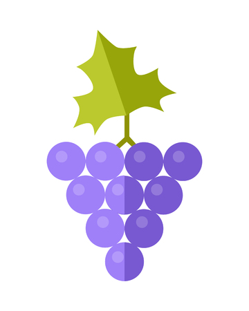 Grape vector in flat style design. Fruit illustration for conceptual banners, icons, mobile app pictogram, infographic, and  element. Isolated on white background.のイラスト素材
