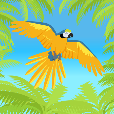 Ara parrot vector. Birds of Amazonian forests in flat design illustration. Fauna of South America. Flying colorful Ara parrot in jungle for posters, childrens books illustrating. Isolated on white.のイラスト素材