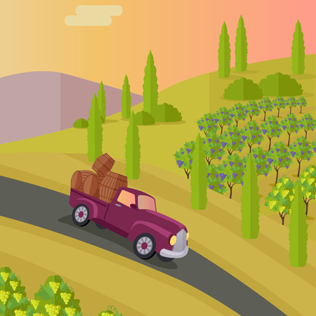 Track carries baskets with grape for wine production. Vineyard plantation of grape-bearing vines, grown for winemaking, raisins, table grapes and non-alcoholic juice. Vinegrove green valley. Vectorのイラスト素材
