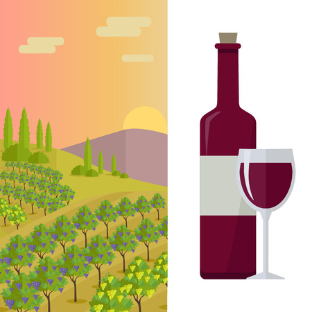 Grapes leaves in a sunny vineyard. Bottle with label and glass of red wine. Vineyard langscape. Rural landscape with vineyard and grapes bunches. Landscape with rolling hills and valleys.のイラスト素材