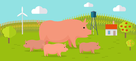 Farmyard vector illustration. Flat design. Pig with piglets standing against the farm landscape, fields on background. Organic farming concept. Traditional agriculture. Modern ecological farm.のイラスト素材