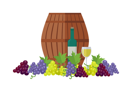 Wooden barrel with wine. Different sorts of grapes. Bottle and glass of check elite vintage strong wine. Bunches or clusters of grapes. Part of series of viniculture production items. Vectorのイラスト素材
