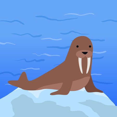 Funny walrus on background of arctic glacier. Brown walrus with white fangs. Animal adorable walrus vector character. Charming walrus. Wildlife characterのイラスト素材
