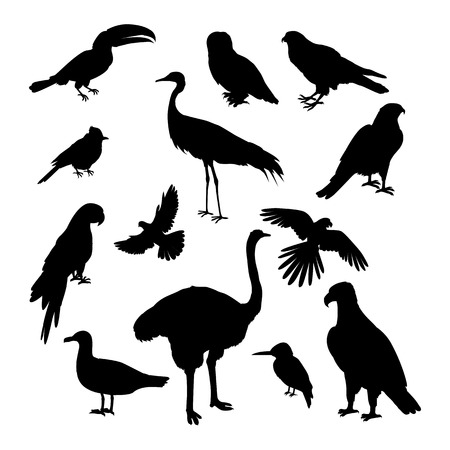 Set of birds silhouettes vector. Fauna template. Illustration for nature concepts, compositions, pet shop advertising. Parrot, jay, owl, many different birds silhouettes isolated on white background.のイラスト素材