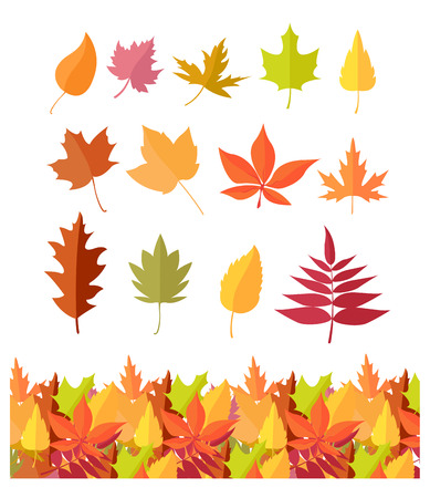 Set of tree leaf icons. Autumn leaves of different colors. Maple, oak, birch, sakura, willow, poplar vector leaves illustration. Fall concept. Leaf isolated, falling autumn leaves, plant backgroundのイラスト素材