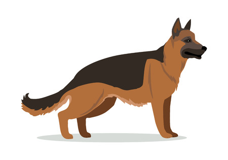 German Shepherd or Alsatian wolf dog isolated on white. Breed of medium to large-sized working dog. Strong intelligent trainable and obedience dog. Home pet. Child pattern icon. Vector illustrationのイラスト素材