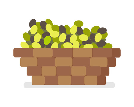 Wooden Basket with Olives Isolated on White Vectorのイラスト素材