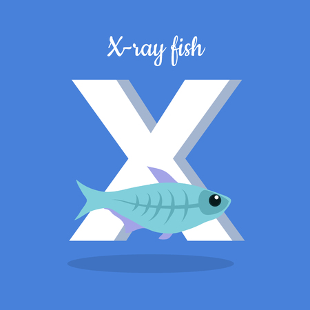 Animal Alphabet Concept in Flat Designのイラスト素材