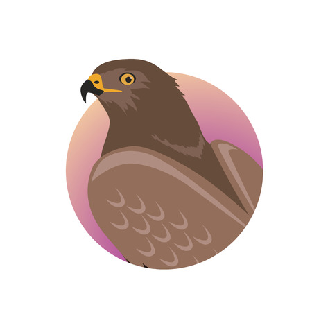 Hawk Flat Design Vector Illustrationのイラスト素材