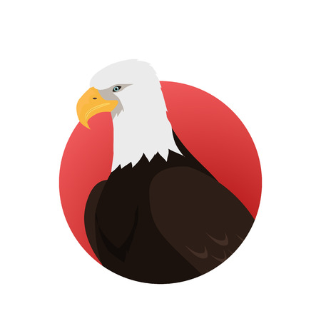 Bald Eagle Flat Design Vector Illustrationのイラスト素材